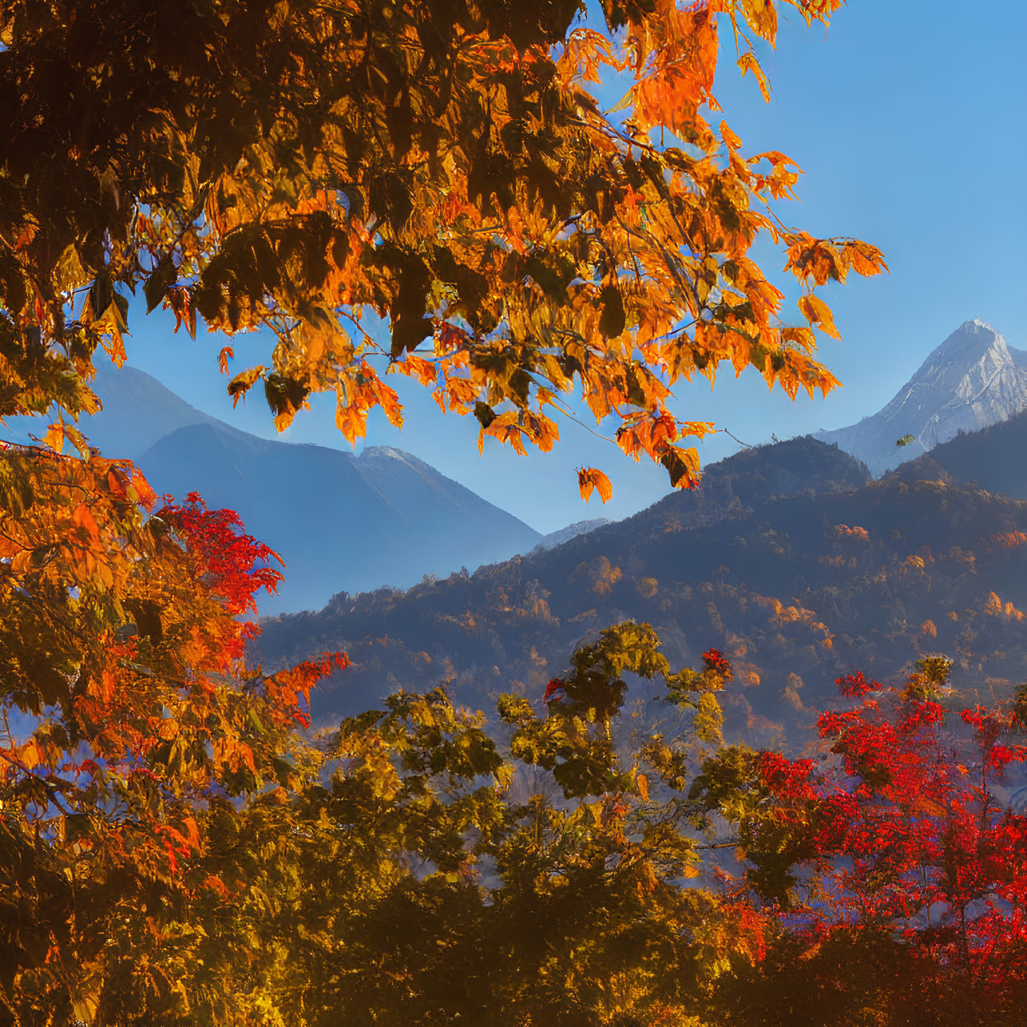 Colorful autumn leaves and misty mountains under blue sky