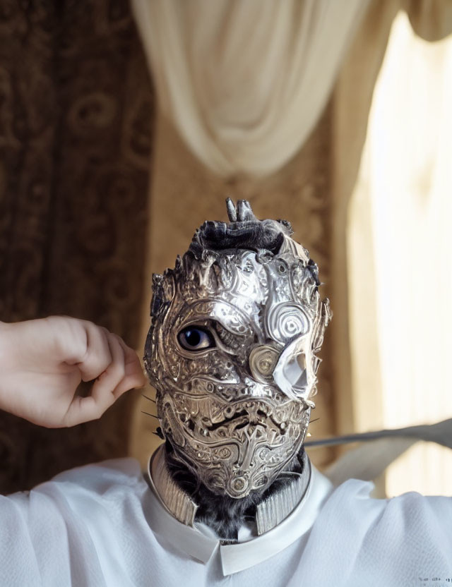 Intricate Silver Mask with Swirl Patterns Revealing Eye