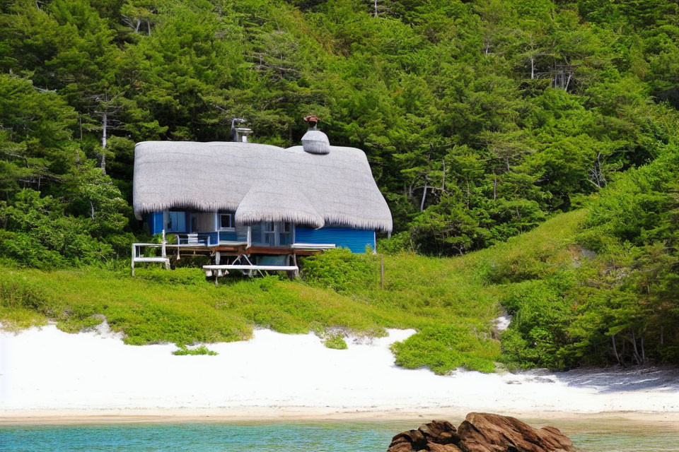 Blue Thatched-Roof Cottage on Sandy Beach Amid Green Trees