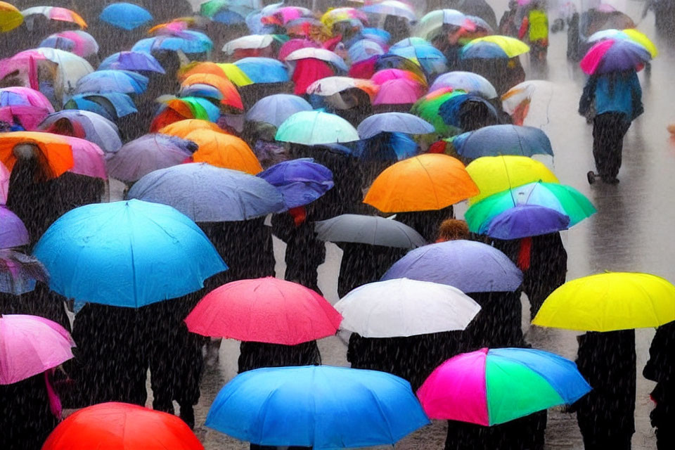 Vibrant array of colorful umbrellas in rainy day scene