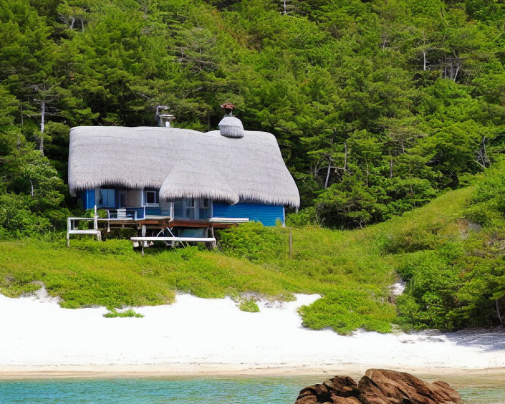 Blue Thatched-Roof Cottage on Sandy Beach Amid Green Trees