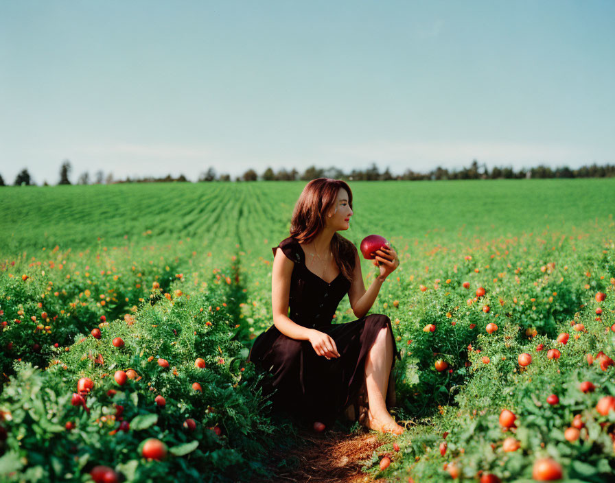 Woman in Black Dress Sitting in Tomato Field with Ripe Tomato Amid Lush Greenery