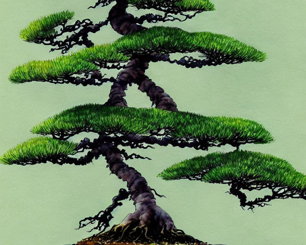 Stylized watercolor illustration of lush bonsai tree in pot