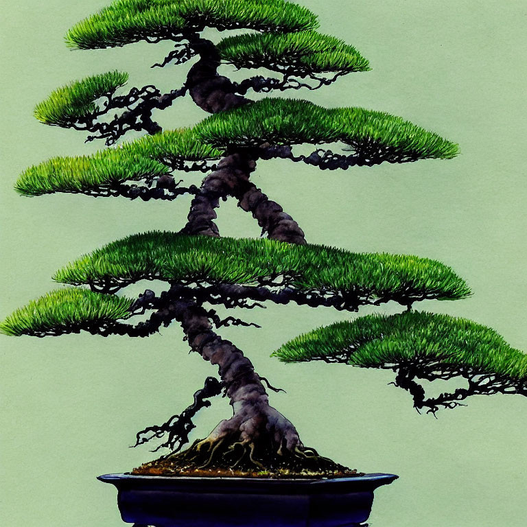 Stylized watercolor illustration of lush bonsai tree in pot