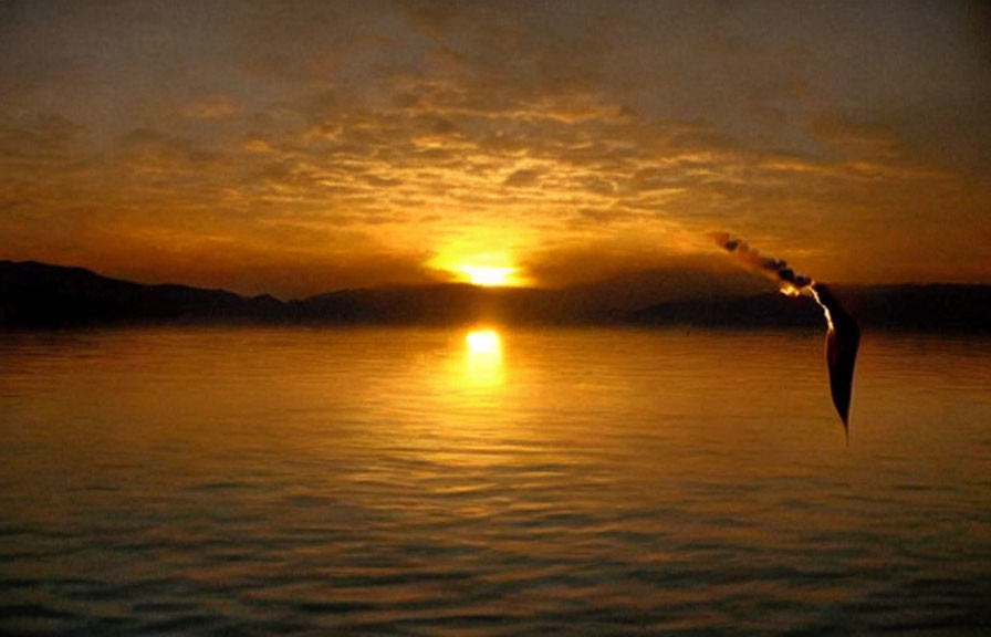 Tranquil sunset scene with bird flying over calm lake