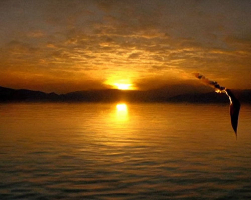 Tranquil sunset scene with bird flying over calm lake