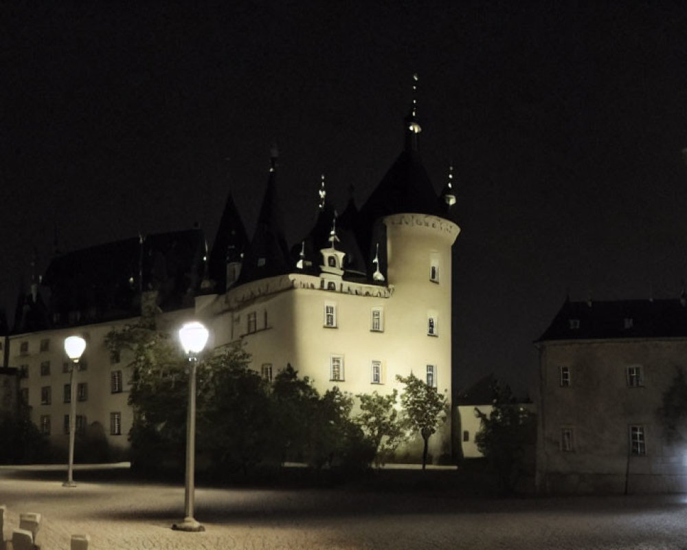 Castle at Night with Illuminated Spire and Trees