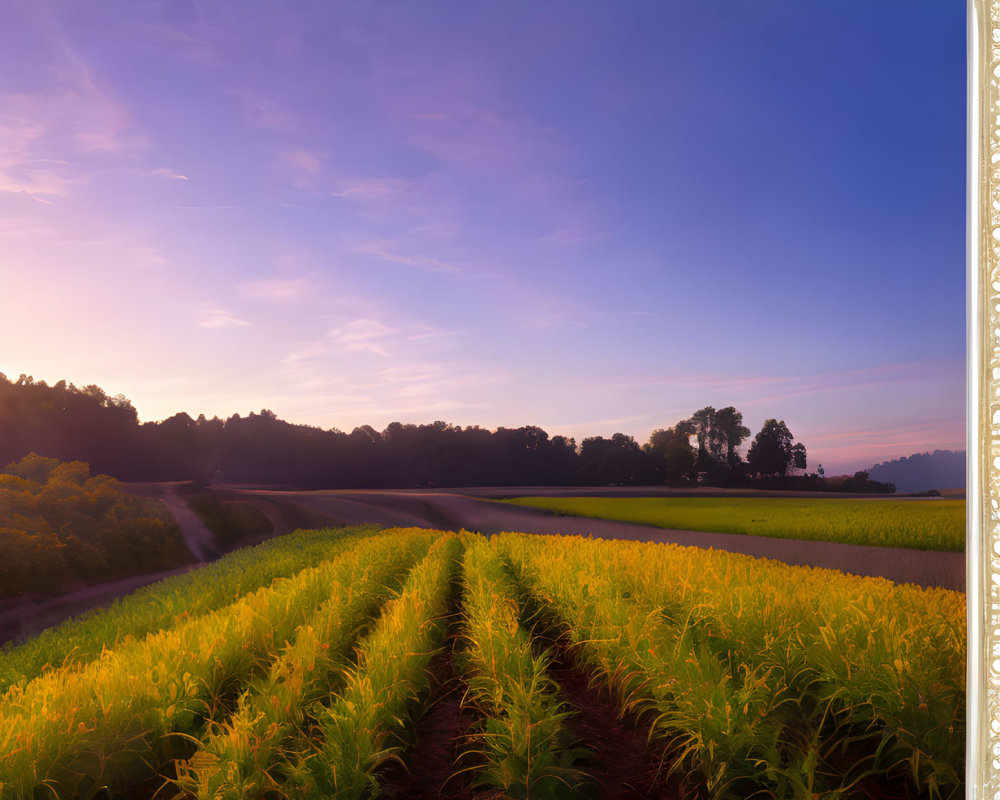 Scenic framed photo of lush field with crops, tree line, vibrant purple and orange sky