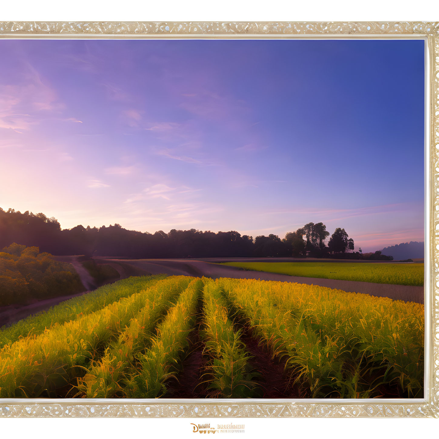 Scenic framed photo of lush field with crops, tree line, vibrant purple and orange sky