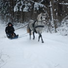 Snowy forest scene: Two horses pull a sleigh with people around a campfire