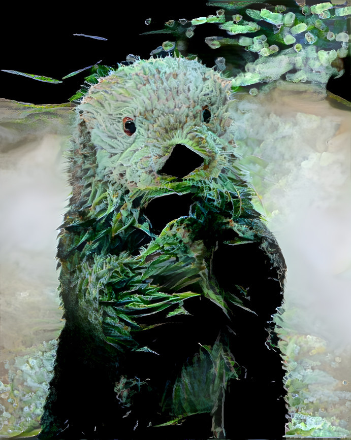 Weed otter