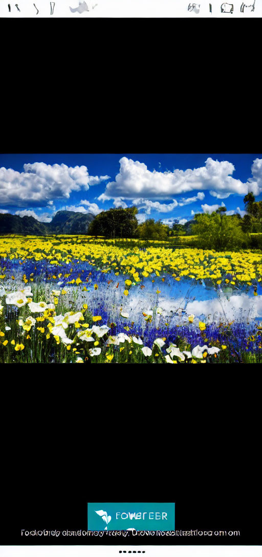 Scenic landscape with yellow and blue wildflowers, mountains, and water reflection