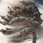 Surreal landscape featuring large tree with snow-capped mountain on canopy under starry sky