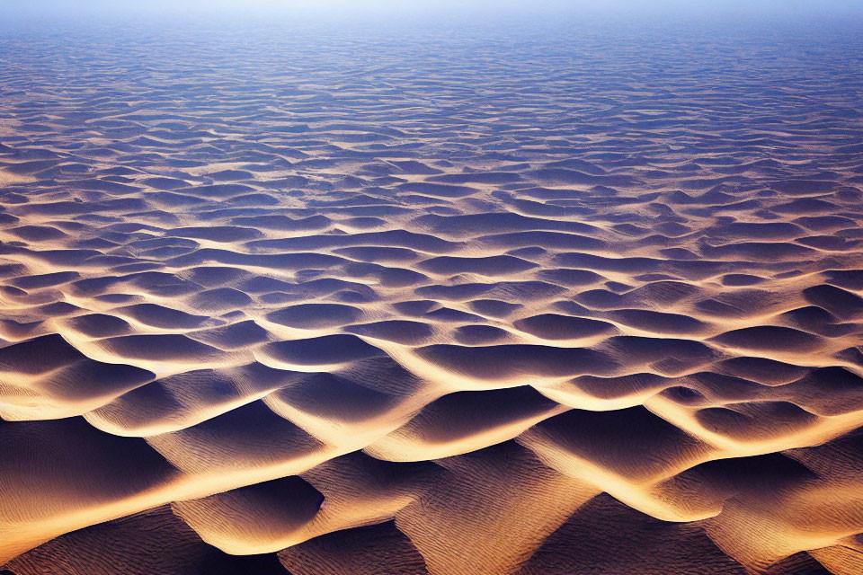 Vast Desert Landscape with Golden Sand Dunes and Soft Sunlight