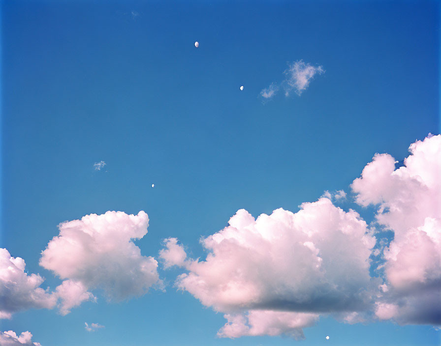 Tranquil blue sky with fluffy clouds and distant balloons.