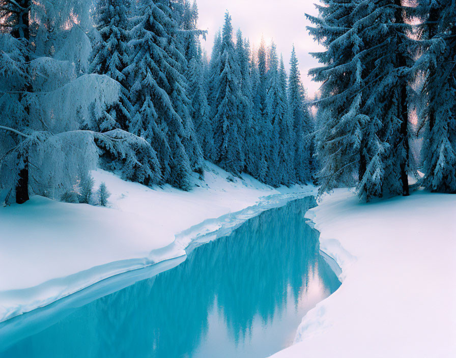 Snow-covered fir trees in serene winter landscape with frozen river.