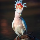 Colorful Parrot Painting with Corn Kernel Texture and Berry Branches