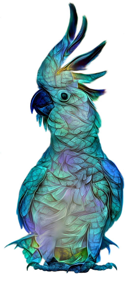 Blue Cockatoo