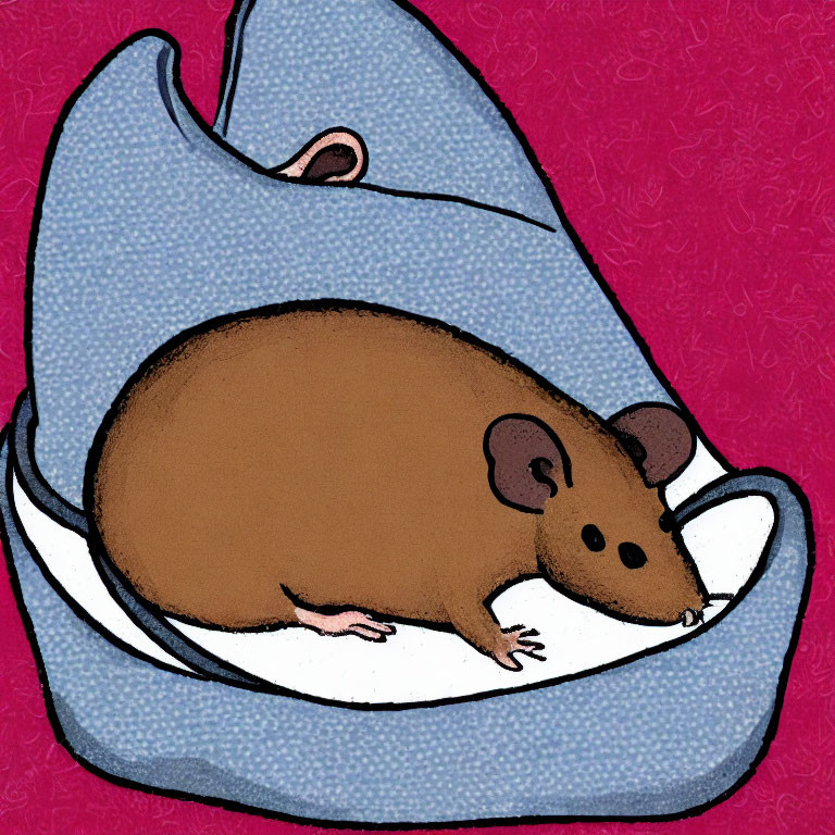 Brown mouse resting in cozy blue slipper on pink background