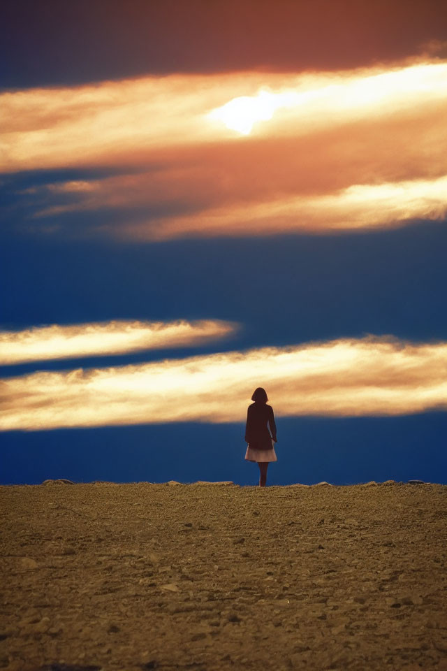 Solitary Figure on Vast Plain Under Dramatic Sunset Sky