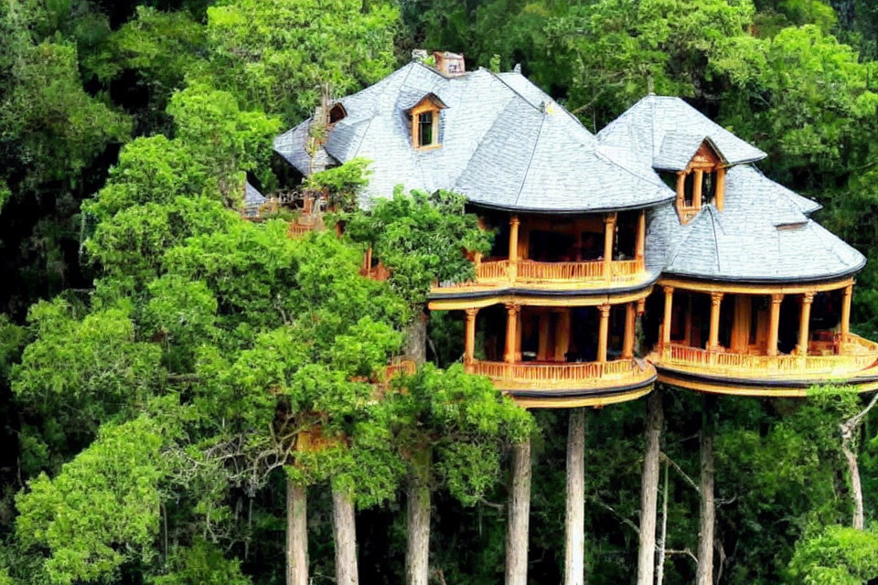 Multi-tiered treehouse with gray shingled roof in lush green forest