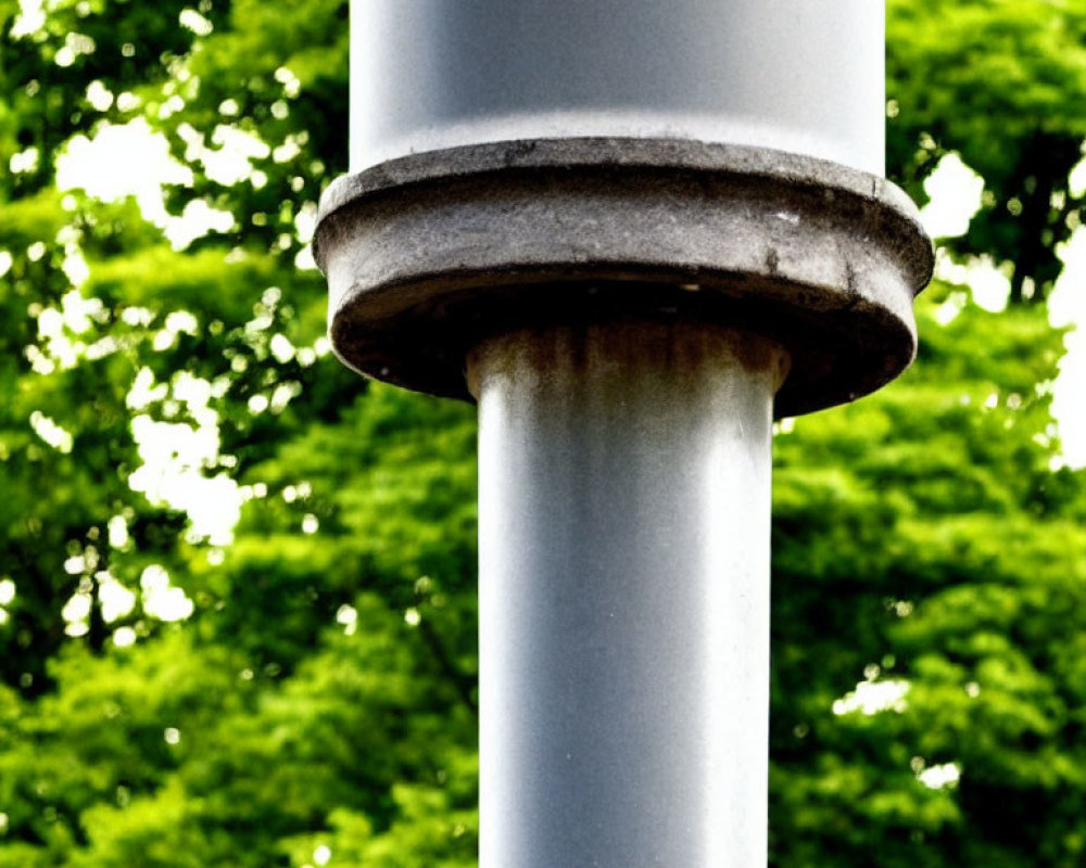 White Column with Textured Base Against Green Tree Background