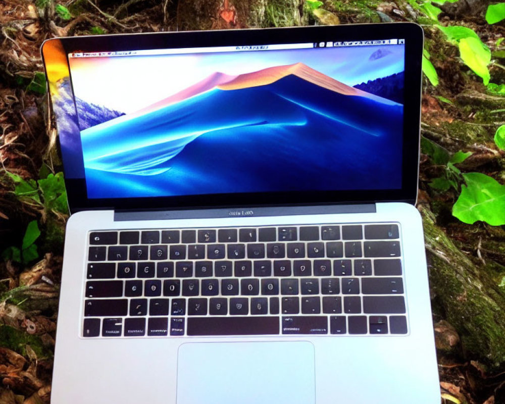 Scenic mountain wallpaper on laptop screen against forest backdrop