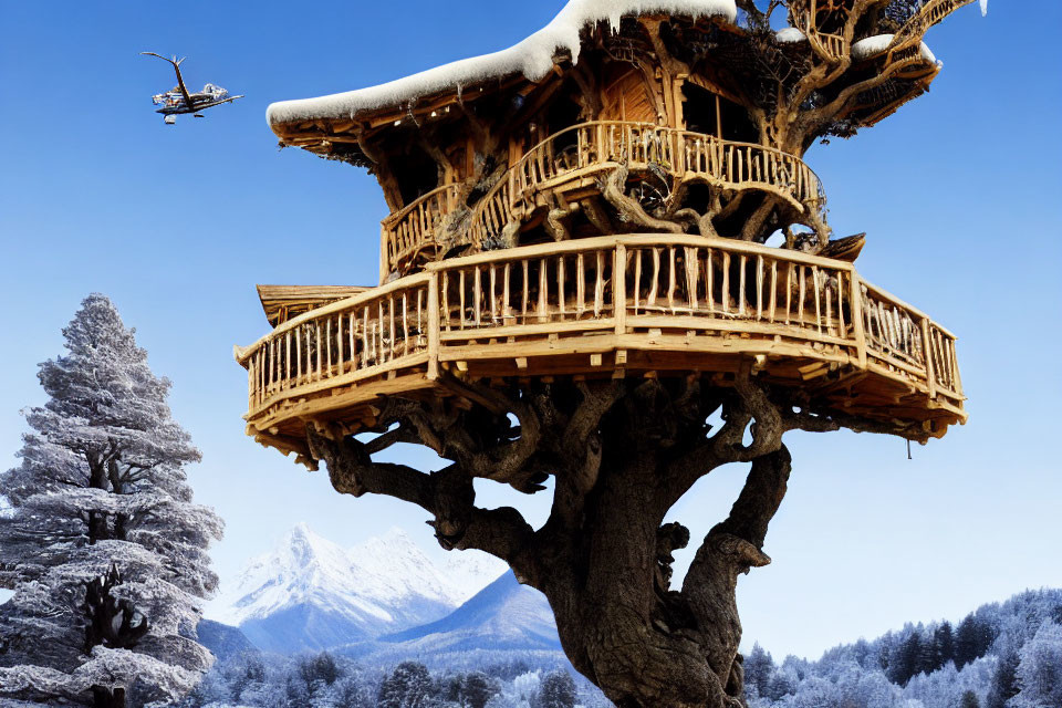 Snow-covered treehouse near helicopter in wintry forest