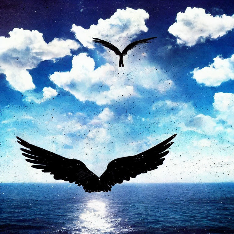 Silhouetted bird flying over sea towards the sun with second bird and clouds in blue sky