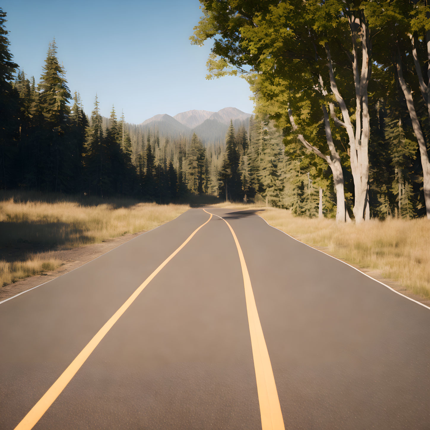 Scenic winding road through serene forest to distant mountains