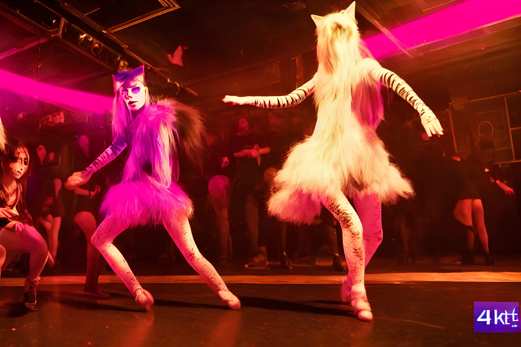 Colorful Cat Costumes Performance on Stage with Reddish Lighting and Audience