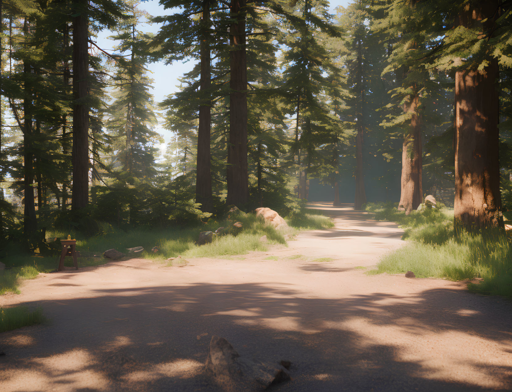 Tranquil Forest Path with Pine Trees and Sunlight