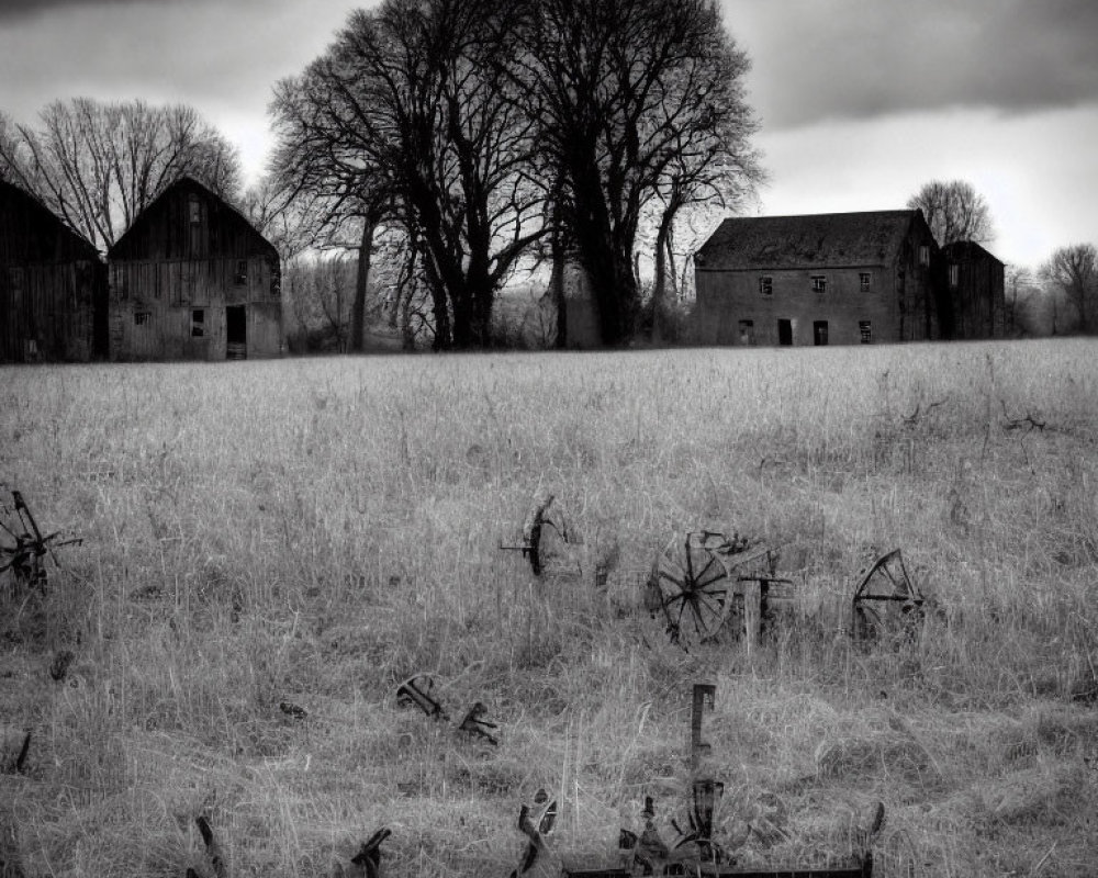 Desolate overgrown field with old farming equipment and barren trees.