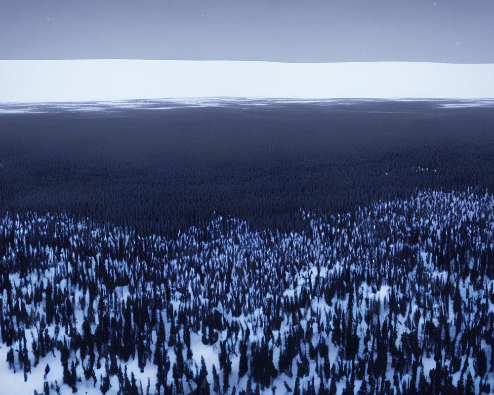 Snowy Twilight Scene: Coniferous Forest & Clear Horizon