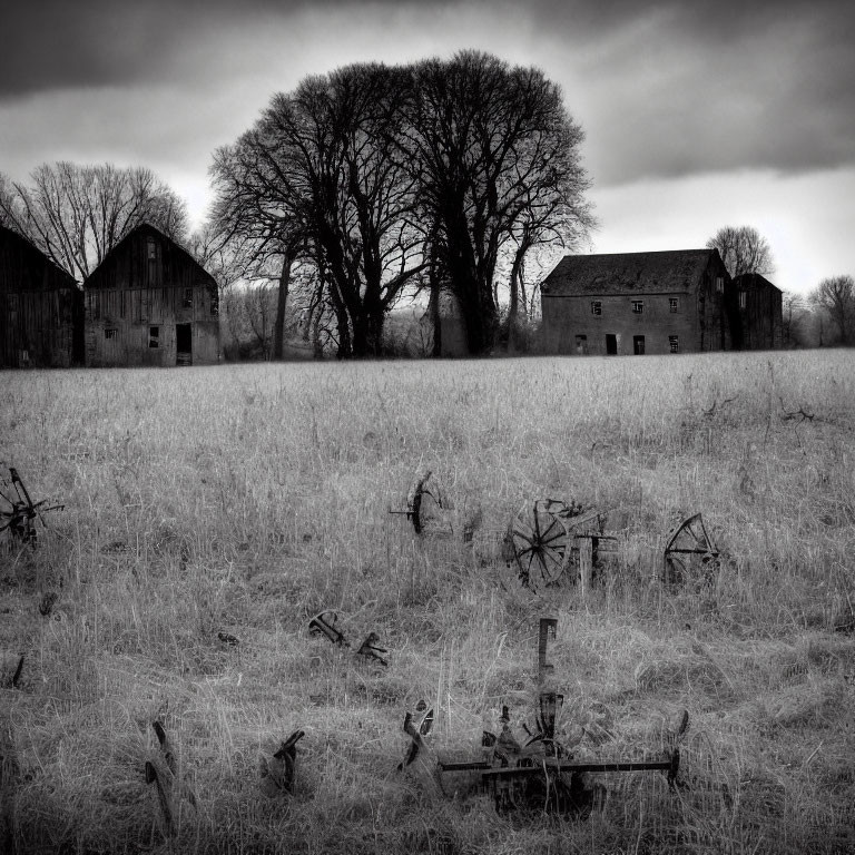 Desolate overgrown field with old farming equipment and barren trees.