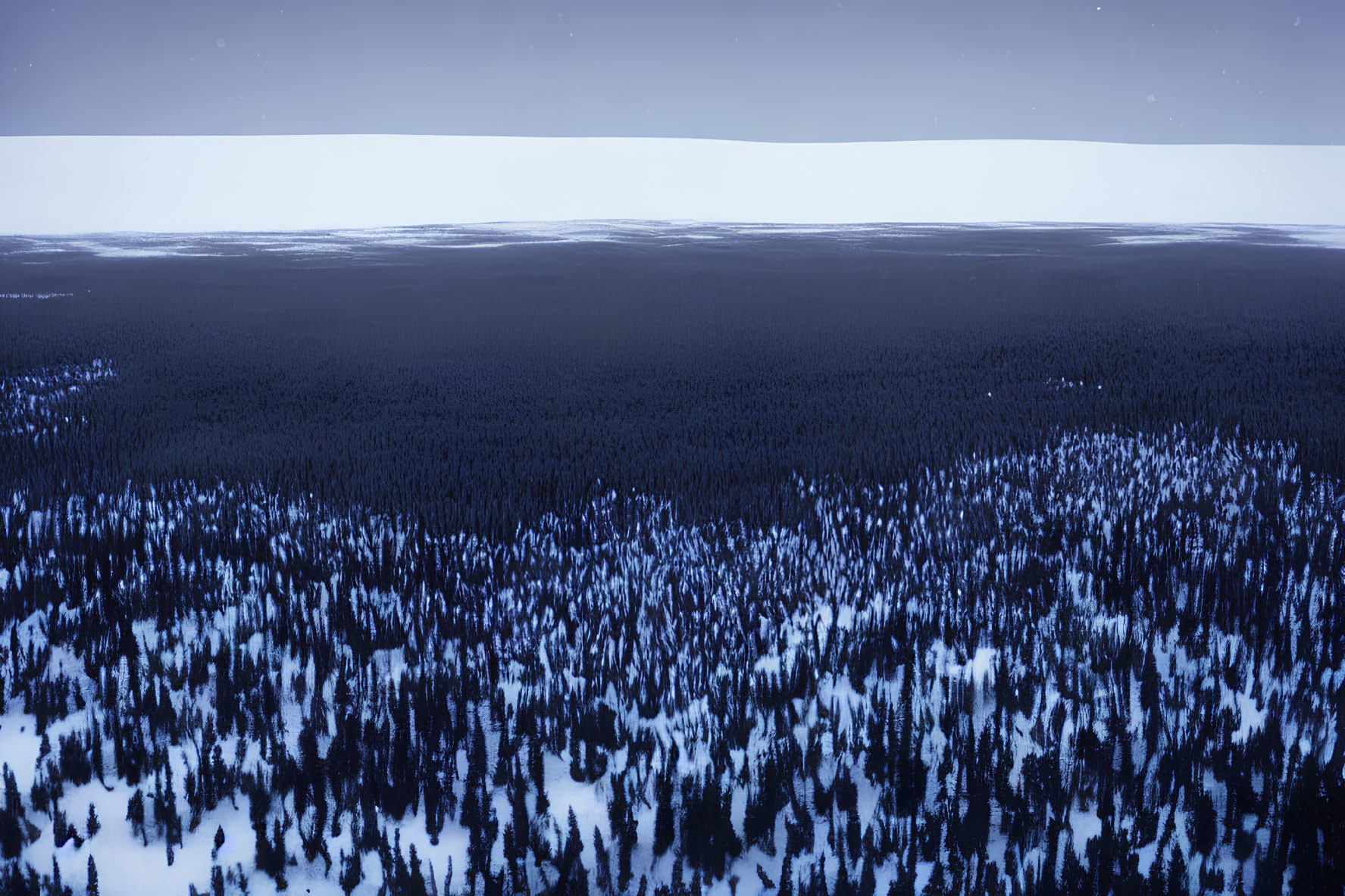 Snowy Twilight Scene: Coniferous Forest & Clear Horizon