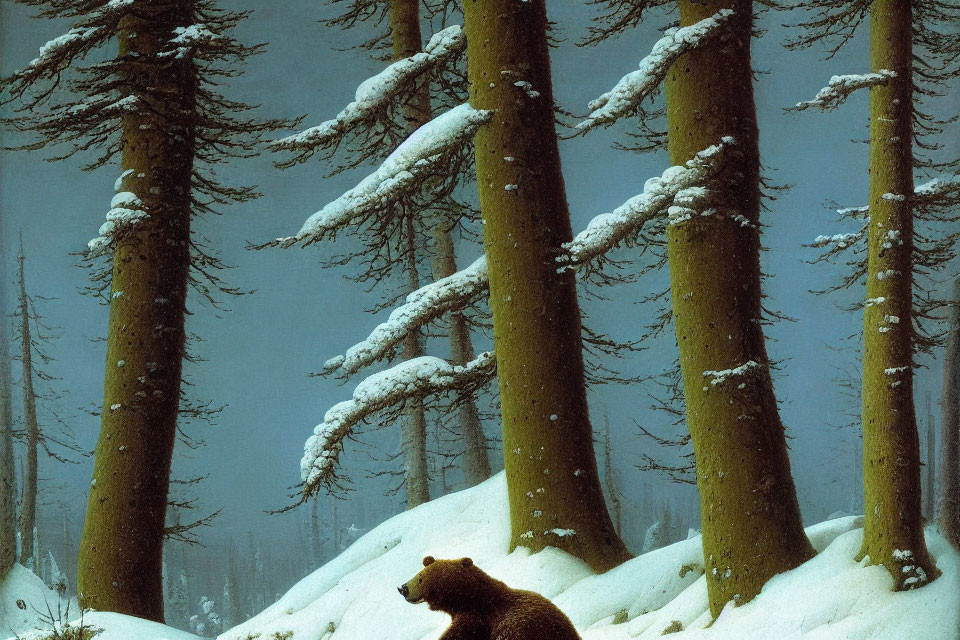 Winter Forest Scene: Snow-Covered Trees, Brown Bear Walking