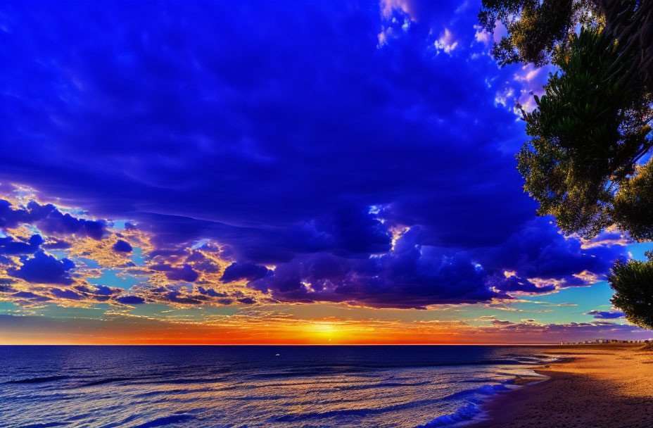 Tranquil Beach Sunrise with Radiant Sky and Silhouetted Foliage