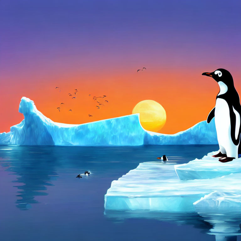 Penguin on ice floe gazes at sunset over icy blue waters