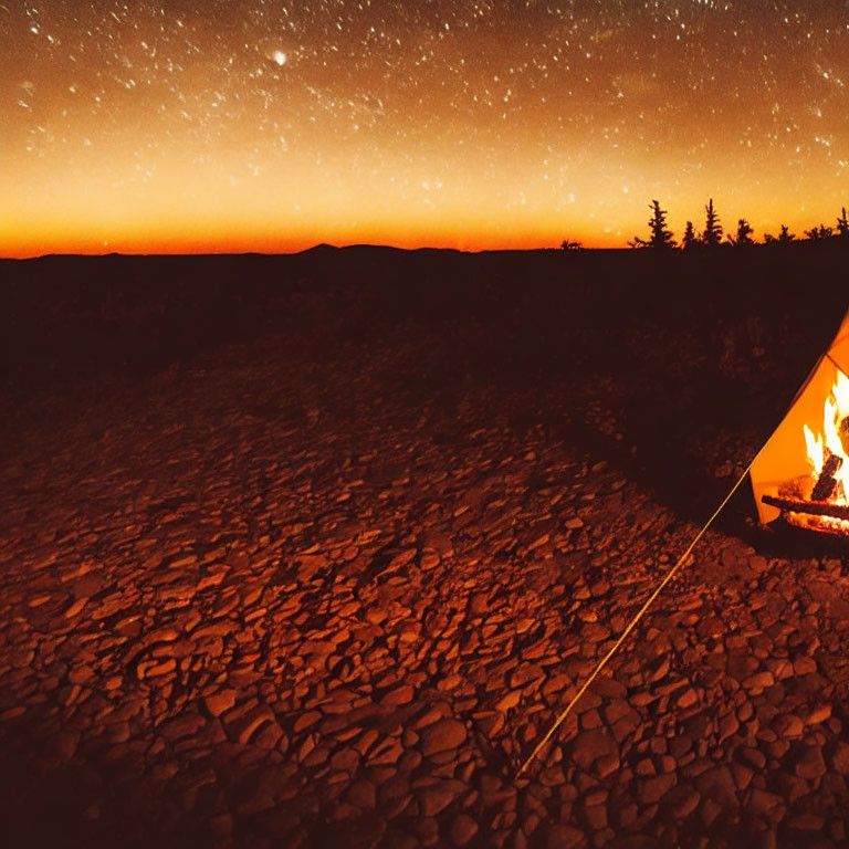 Campfire burning near tent under starry sky with silhouetted trees