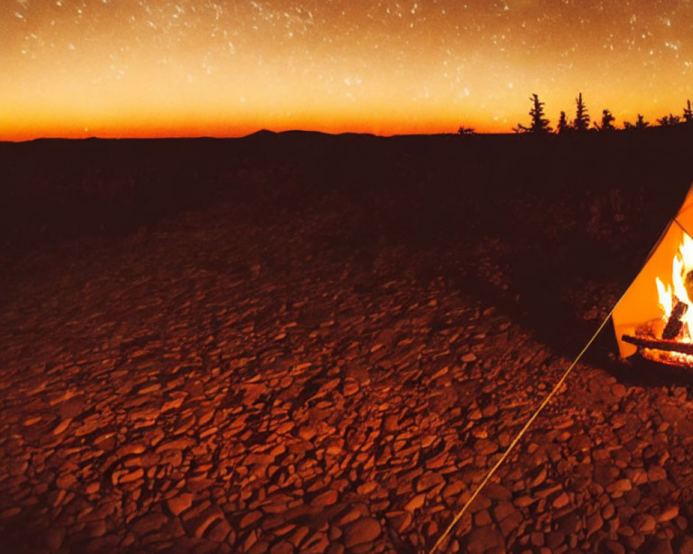 Campfire burning near tent under starry sky with silhouetted trees