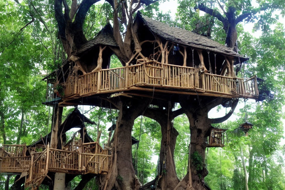 Multi-level rustic treehouse with balconies and staircases in lush forest