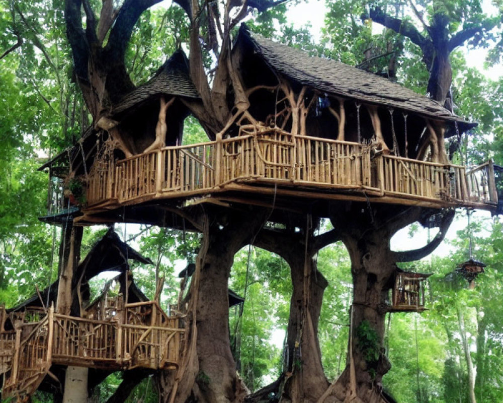 Multi-level rustic treehouse with balconies and staircases in lush forest