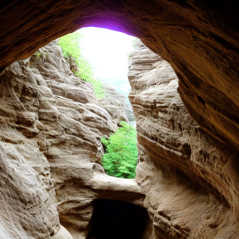 Cave interior with rugged entrance overlooking green landscape