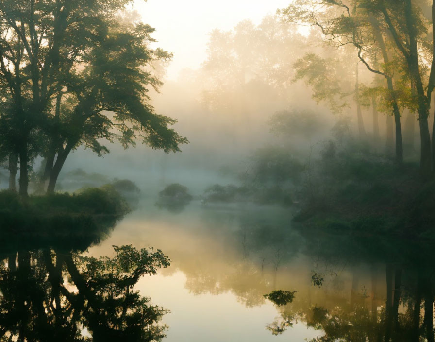 Serene dawn scene: misty forest, sunlight on river