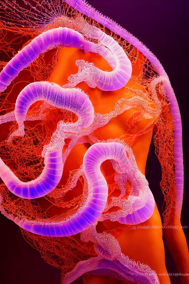 Detailed Close-Up of Purple and Pink Jellyfish on Orange Background