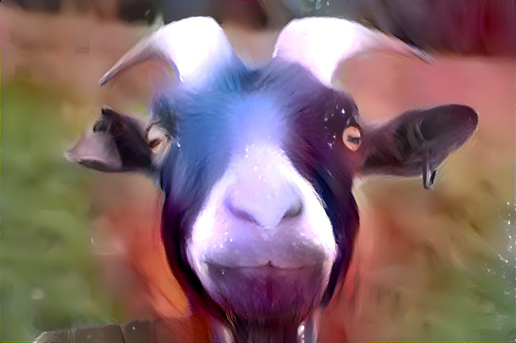 Goat portrait