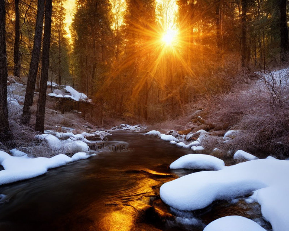 Winter landscape with sunburst over snow-edged stream