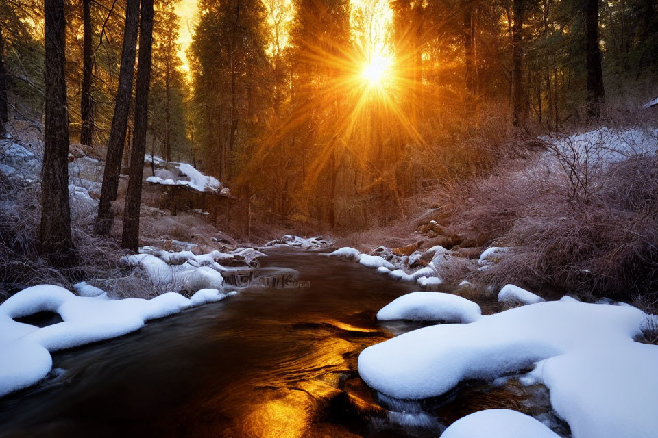 Winter landscape with sunburst over snow-edged stream