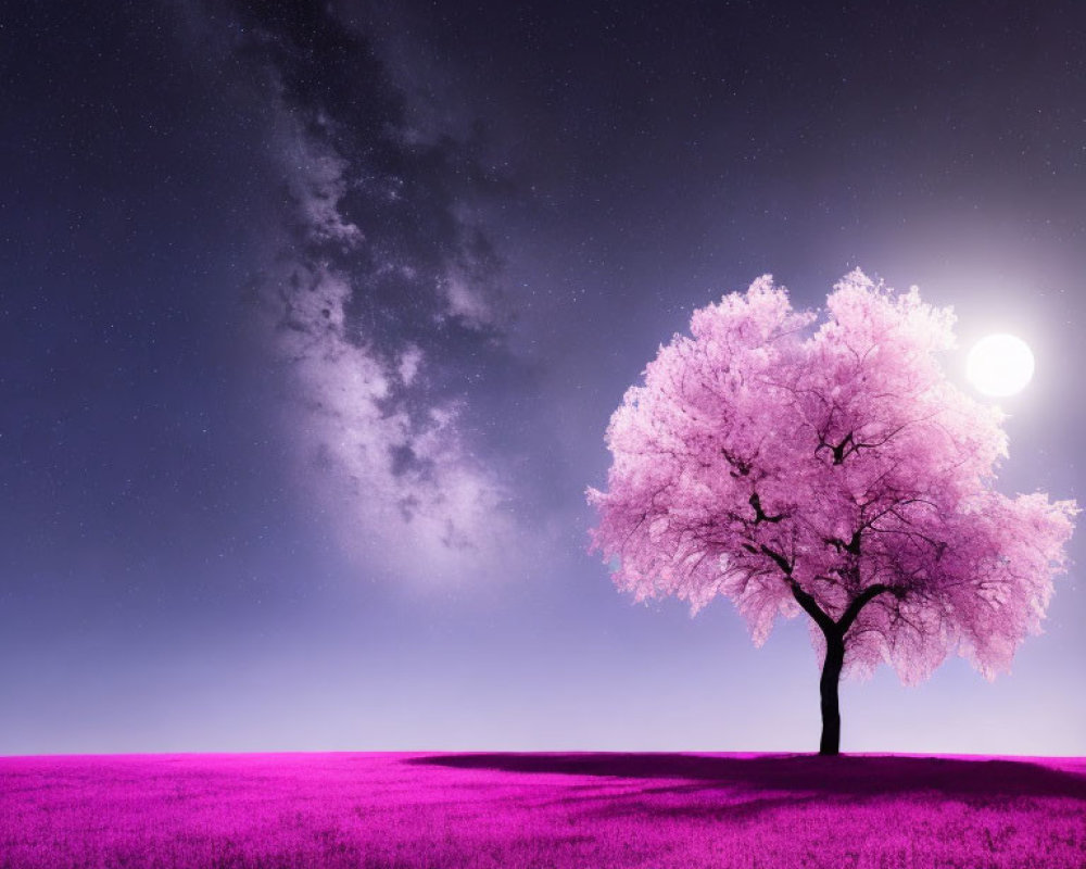 Cherry Blossom Tree in Surreal Purple Landscape with Moonlit Sky